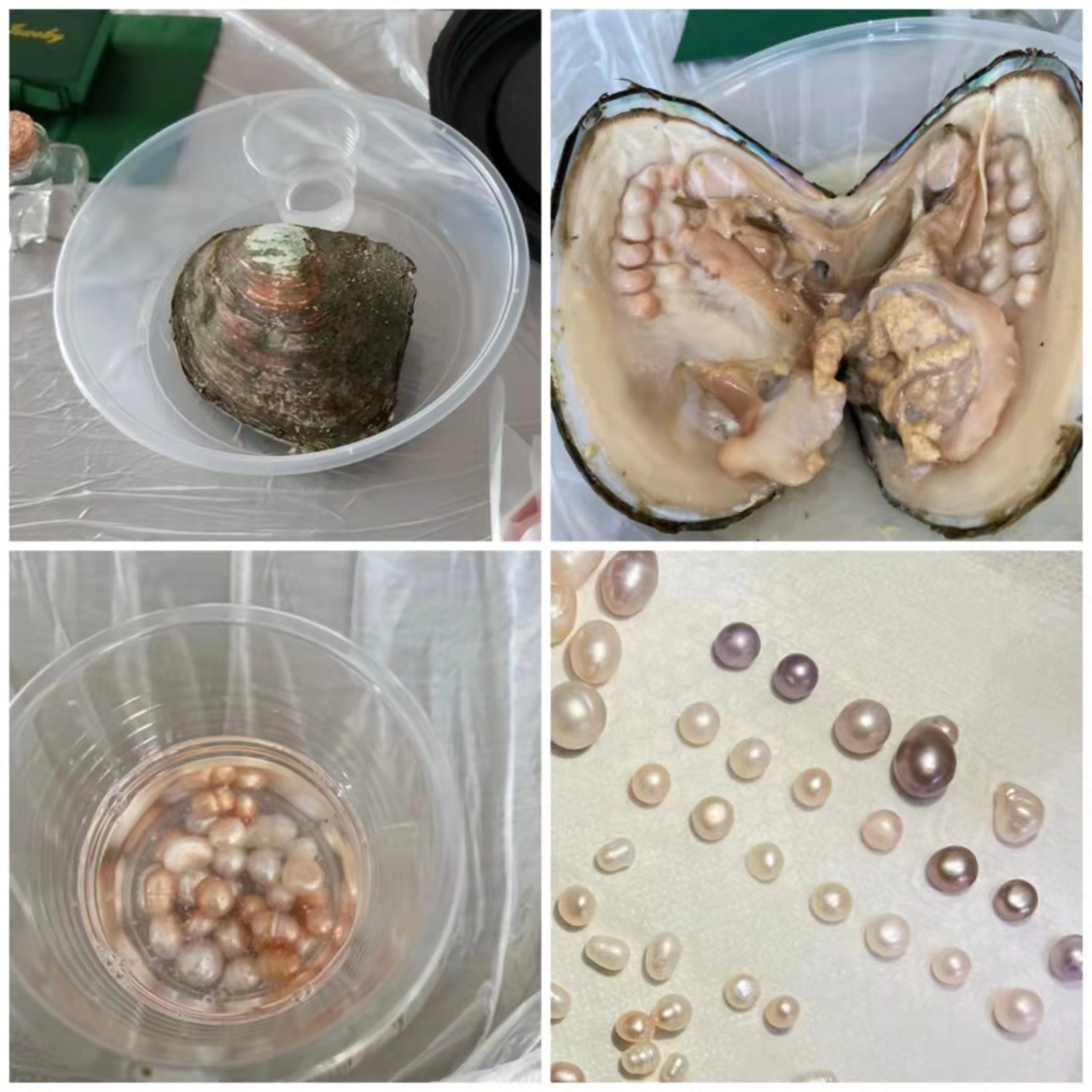 pg麻将胡了2